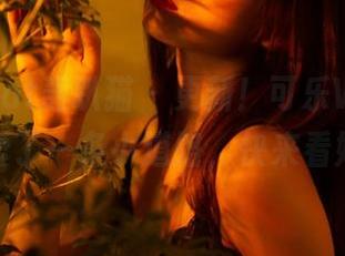 partycat轰趴猫 – 更新！可乐Vicky红裙子恋爱了一条小道路，快来看她的图！