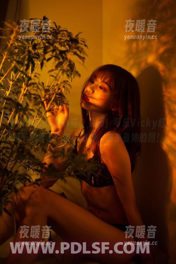 partycat轰趴猫-可乐Vicky partycat轰趴猫 - 更新!可乐Vicky红裙子恋爱了一条小道路,快来看她的图!